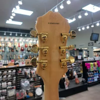 Epiphone Joe Pass Emperor 2